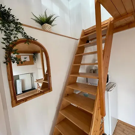 Small Micro-treehouse In The Centre Ljubljana