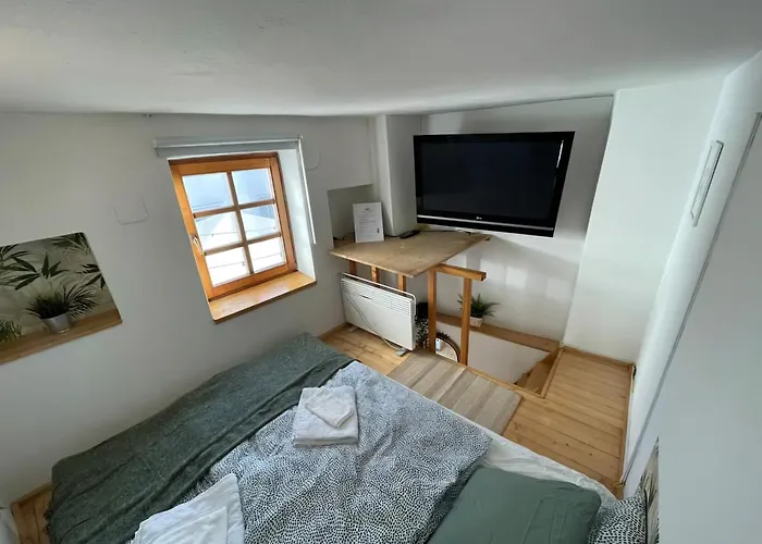 Super Small Micro-treehouse In The Centre Ljubljana